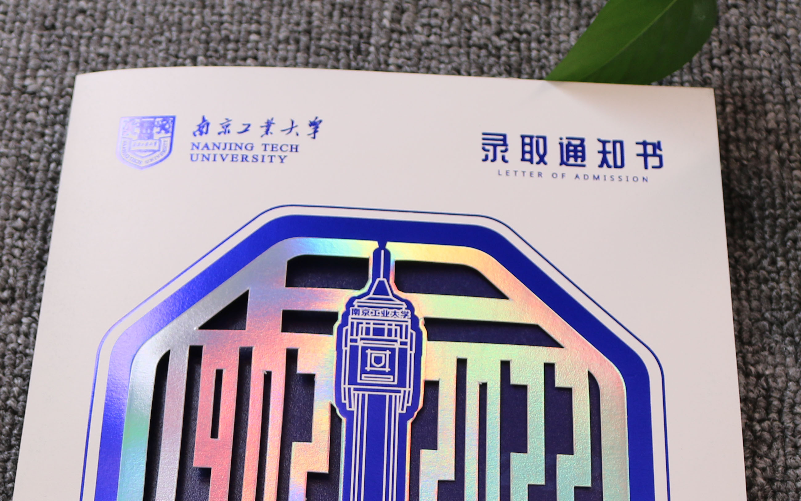 录取通知书定制