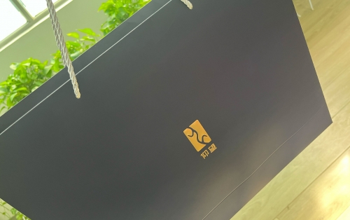 仰望汽车手提袋定制