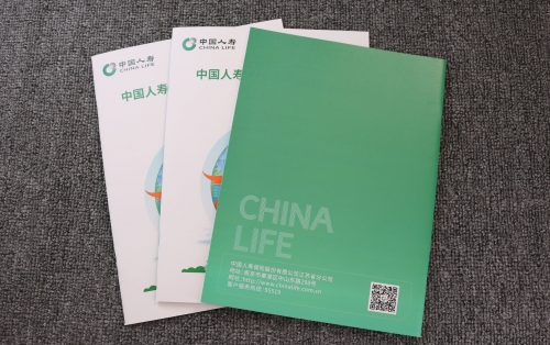 人寿画册印刷