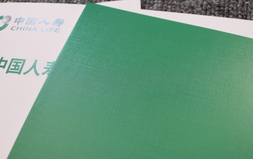 人寿画册印刷
