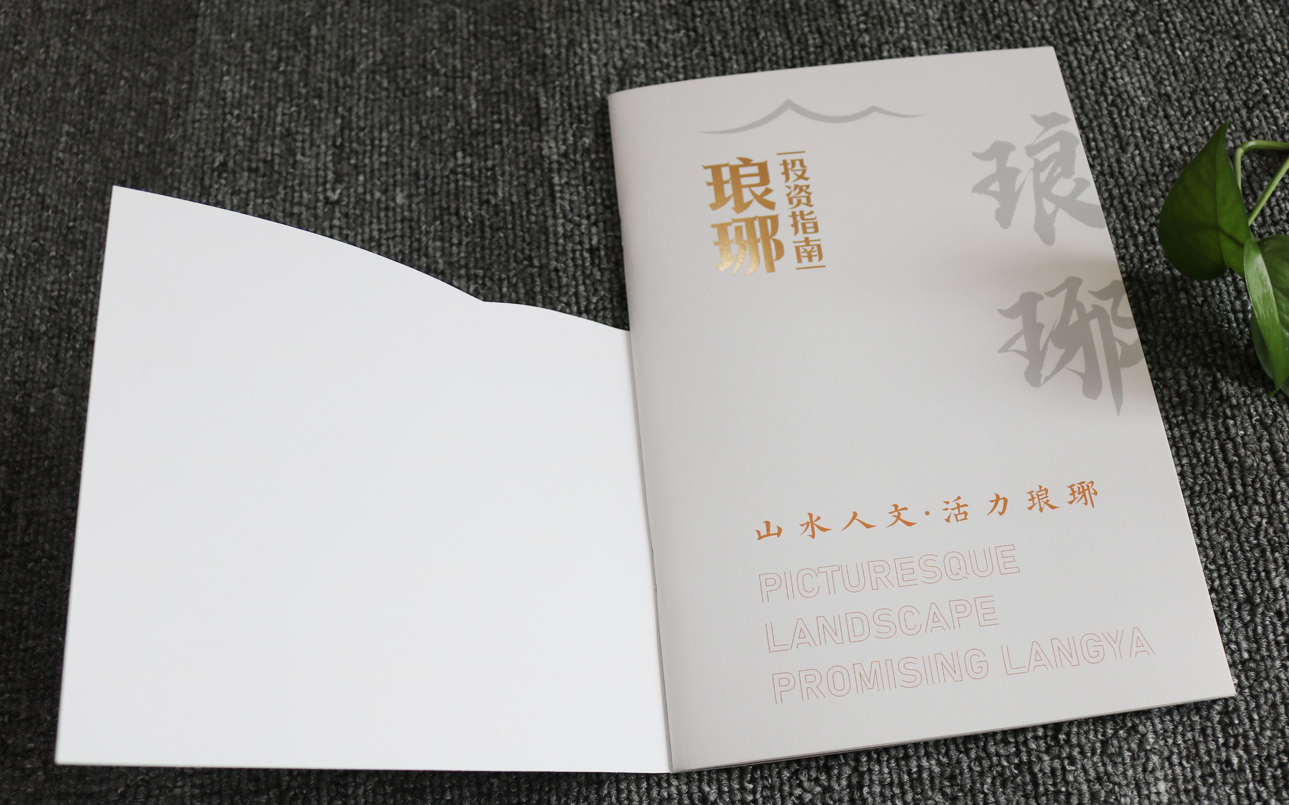 艺术画册印刷